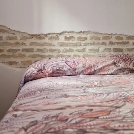 Lejlighed Piso Familiar Y Con Encanto